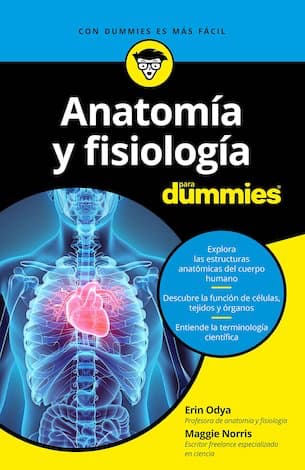 Comprar Anatomía y fisiología para Dummies