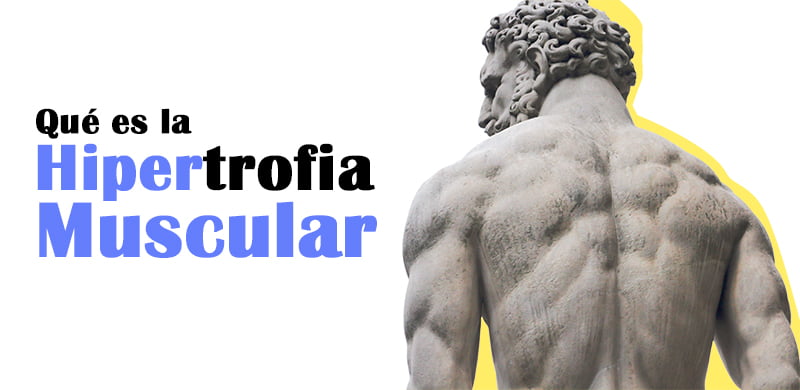 Qué es la hipertrofia muscular